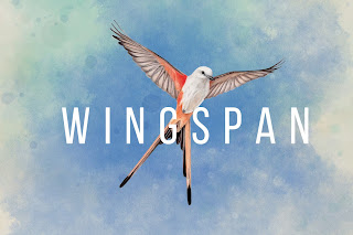 Wingspan – Game Burung yang Bikin Ketagihan, Bukan Cuma Buat Pecinta Alam