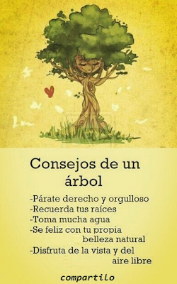 Consejos de un Árbol