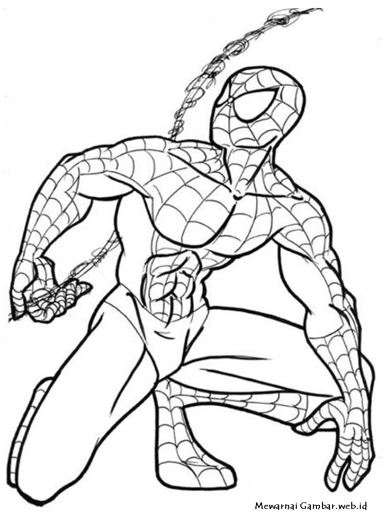  Mewarnai Gambar Spiderman Mewarnai Gambar 