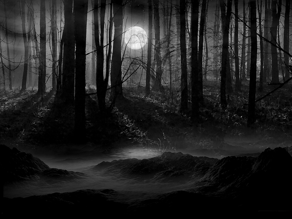 dark fantasy forest