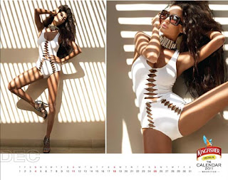 Kingfisher Calendar 2011 - December