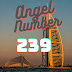 Decoding the Significance of Angel Number 239: An Insightful Message Directed Your Way