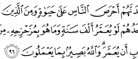 Alquran Daily - surah : Al-Baqarah ,    سورة البقرة   , ayat :  96 (2) -  96 (2)