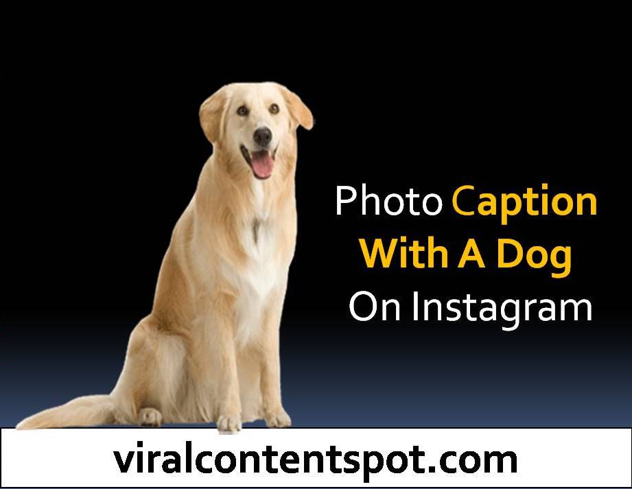 Photo caption with a dog on Instagram