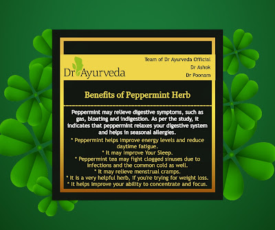 Peppermint herb benefits by Dr Ayurveda Official
