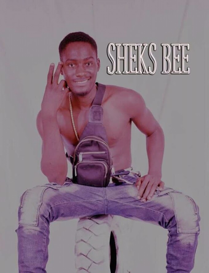 Download music - Love for you by shekz Bee ft Flixy