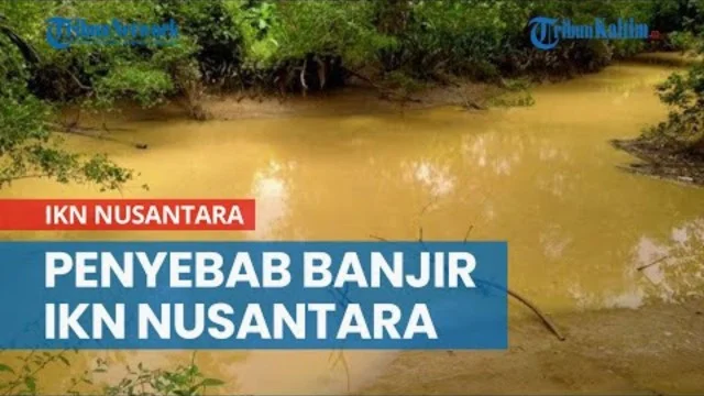 Duh! Banjir Selutut Orang Dewasa Menggenangi Sepaku, Begini Penjelasan Otorita IKN