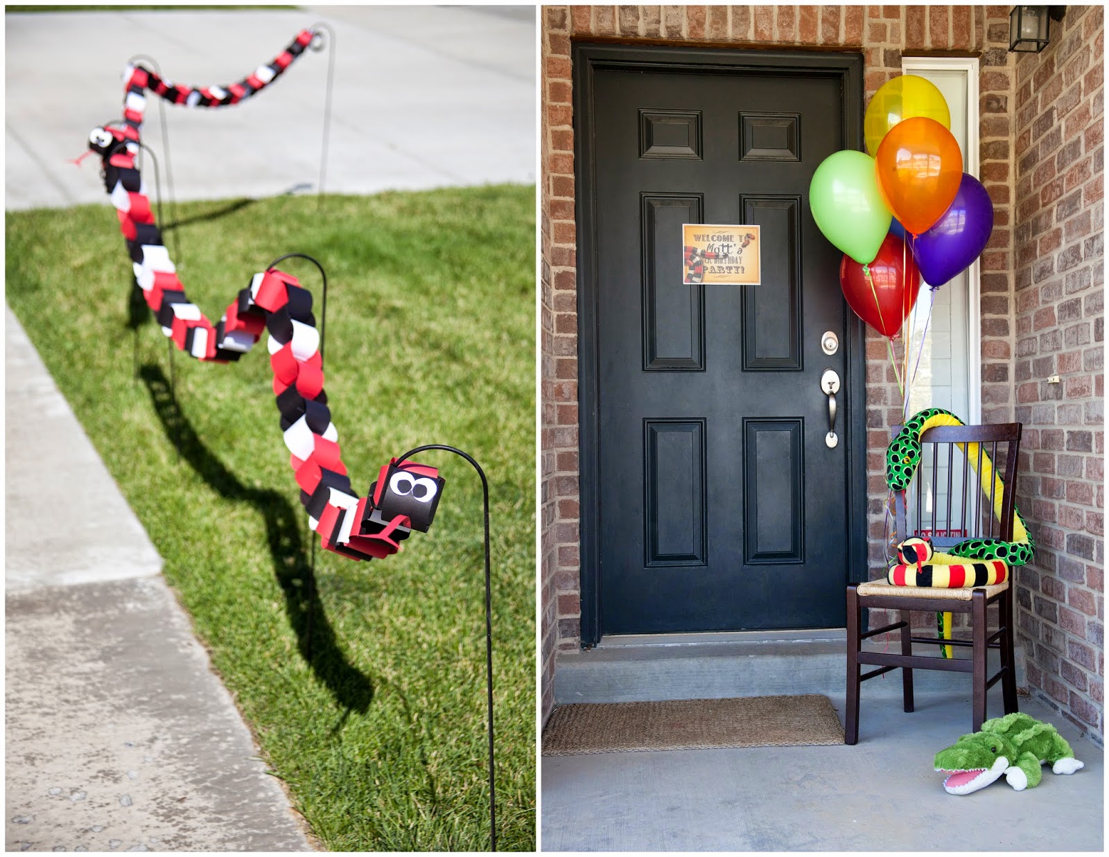 Melinda Bryant Photography A Reptile  Birthday  Party 