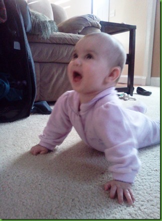 6 mos November 19