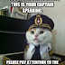 48+ Hilarious Cat Memes Clean