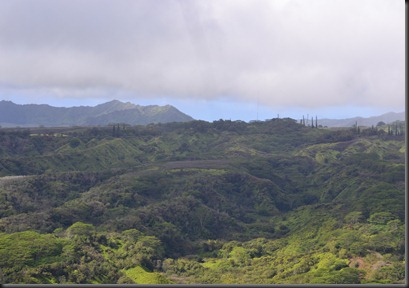 2013-03-KauaiHelo31