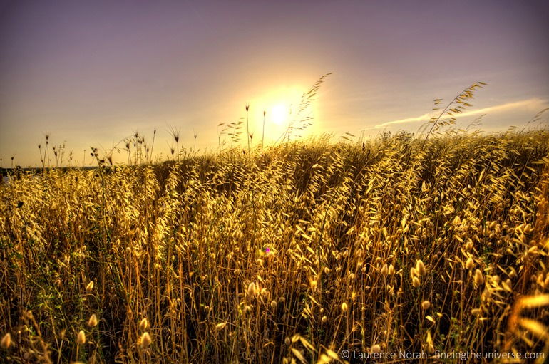 Feld in Brindisi