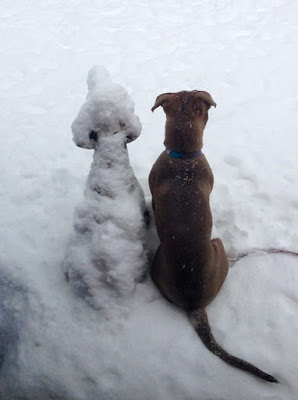 Similar alike snow dogs