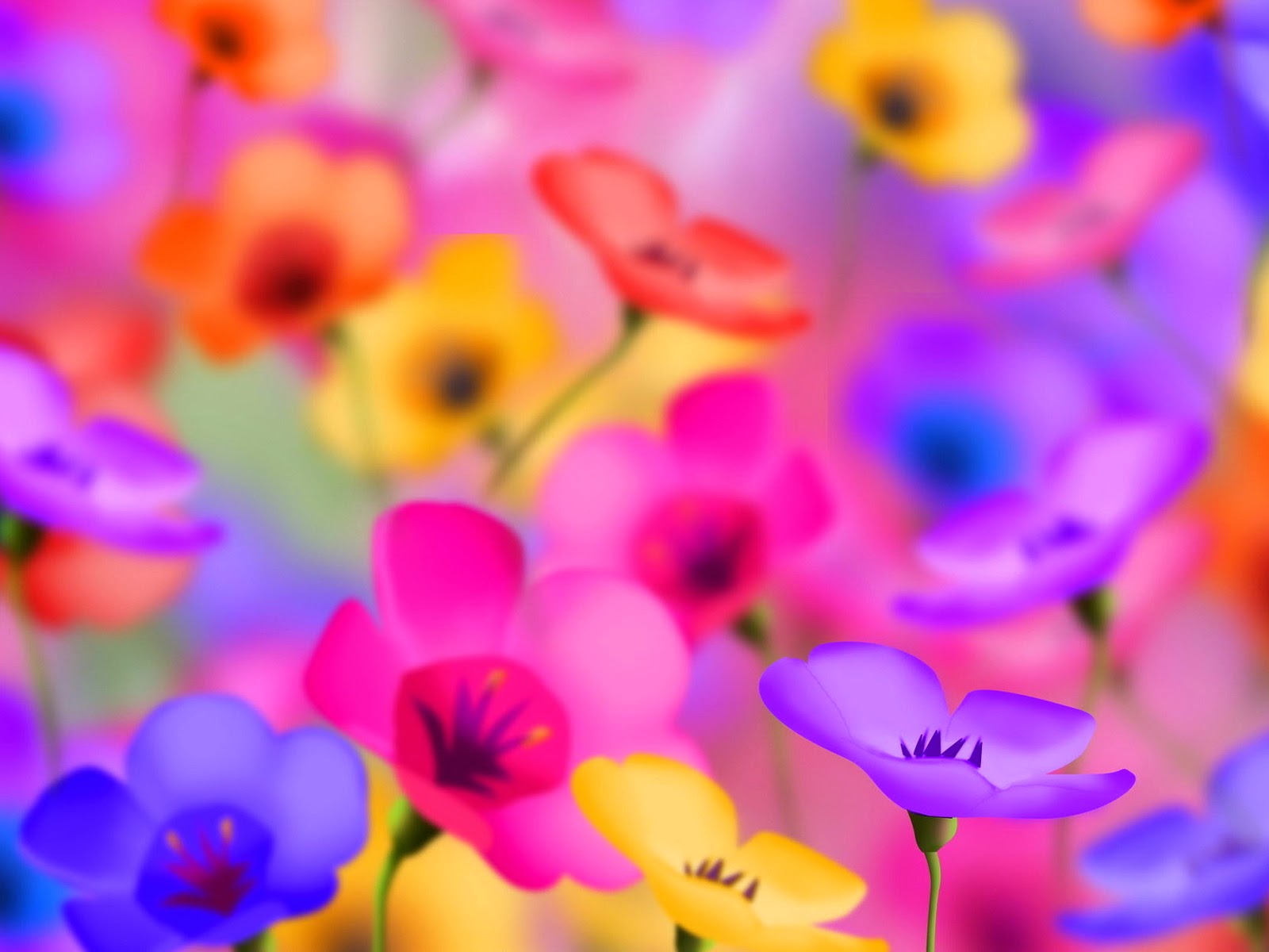 World's Top 100 Beautiful Flowers Images Wallpaper Photos ...