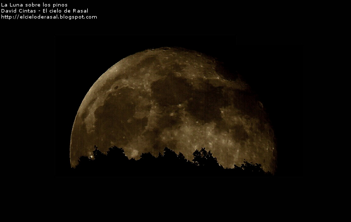 La luna sobre los pinos