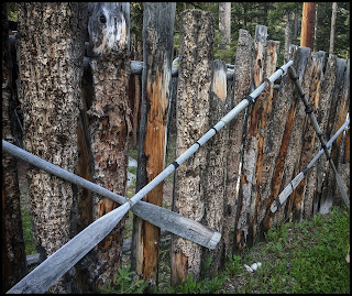 Old Wooden Boat Ores on the fence from around the 1930's.