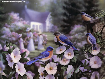 jardin-primavera-verano-aves-pajaros-flores-fondo-hd-wallpaper-pintura