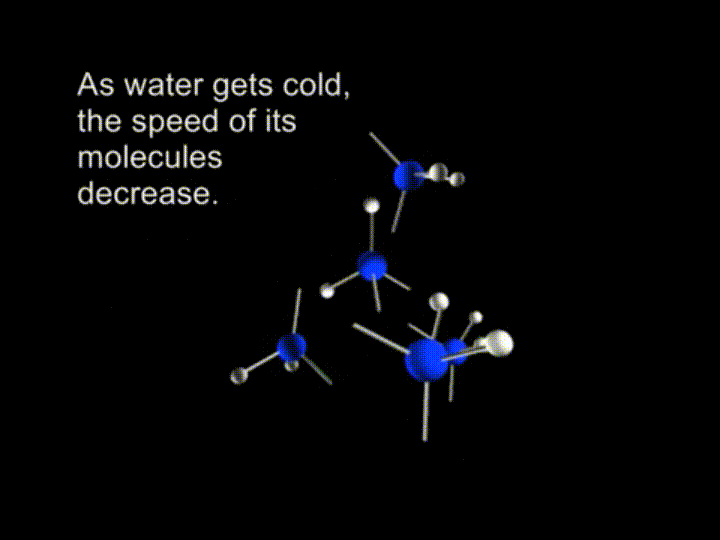 water_molecules_in_disorder