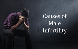 male infertility causes