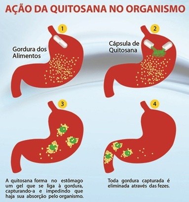  comprar A Quitosana emagrece quantos quilos por semana ?