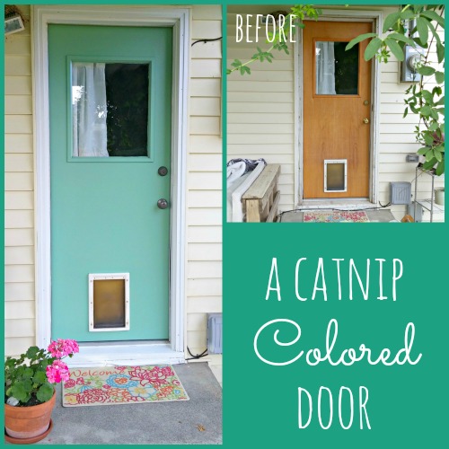 A catnip colored door