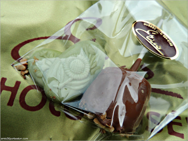 Bombones de Érico-CHOCOLATERIE-Musee-Du-Chocolat en Quebec