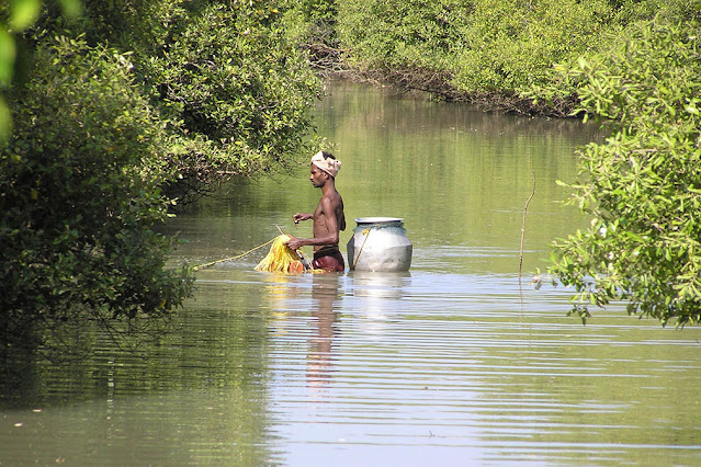 Fisherman with traditional fishing technique at Muthupettai mangrove
