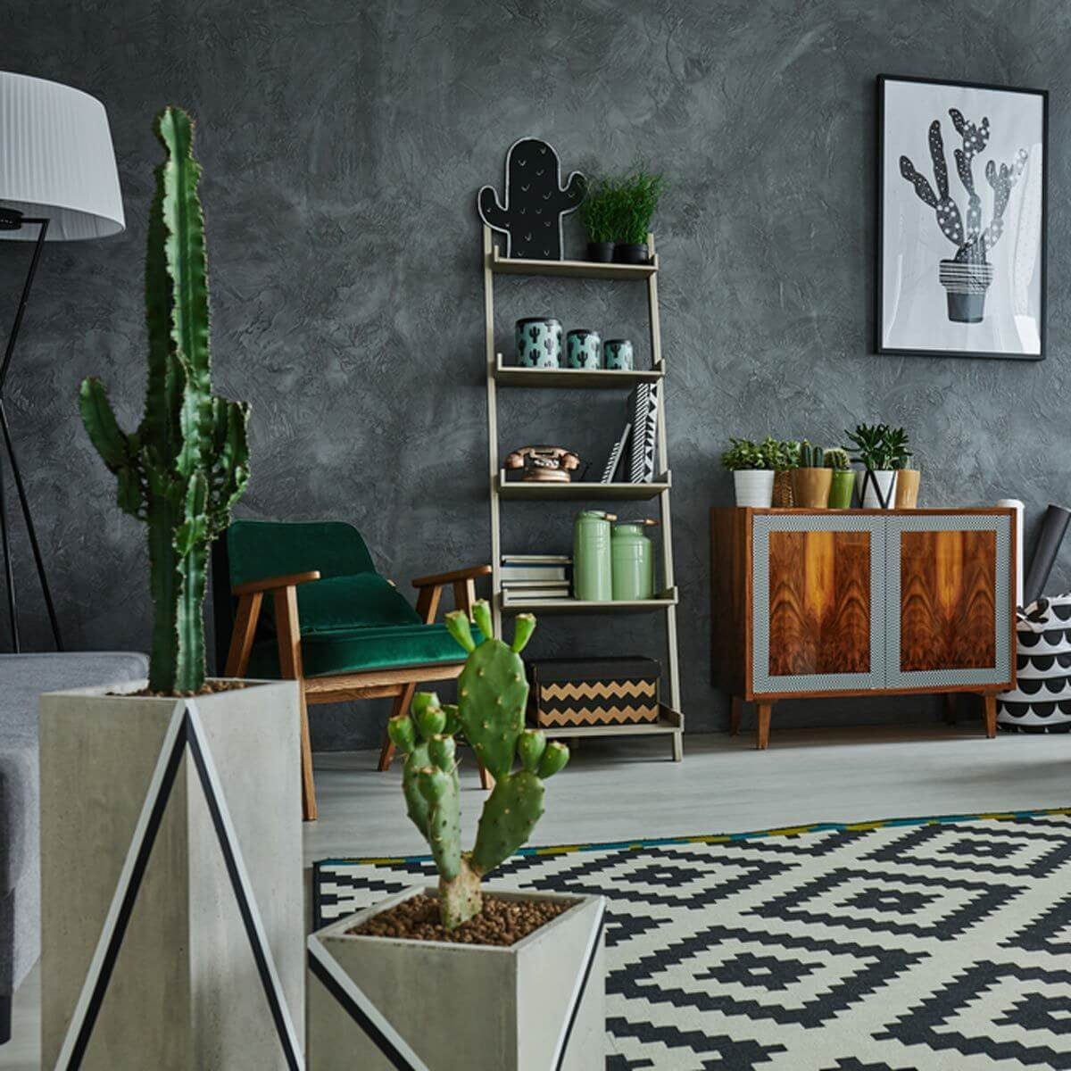 Decorar con cactus, las plantas con superpoderes_6