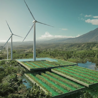 Sky Algae Farms