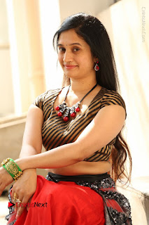 Telugu Actress Priyanka Pallavi Stills at Nenostha Release Press Meet  0194.JPG