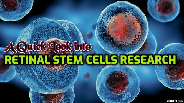 A Quick Look into the Emerging Retinal Stem Cells Research