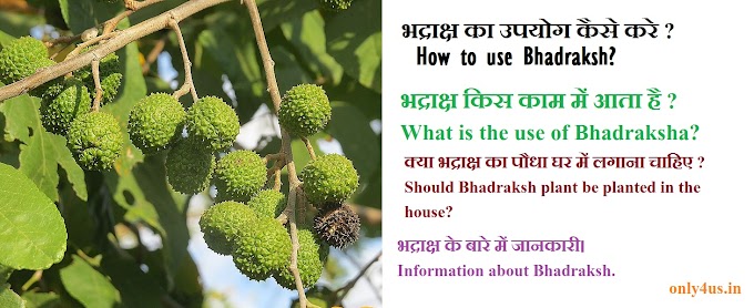 Benefit of bhadraksh in hindi : use of bhadraksha : Do you know Benefit of bhadraksha? : only4us.in
