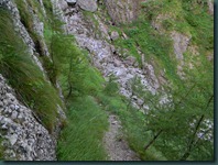 DSCN3139