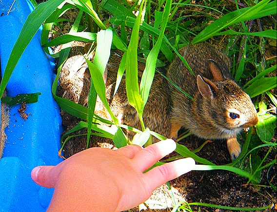 2010_0623junemisc0054
