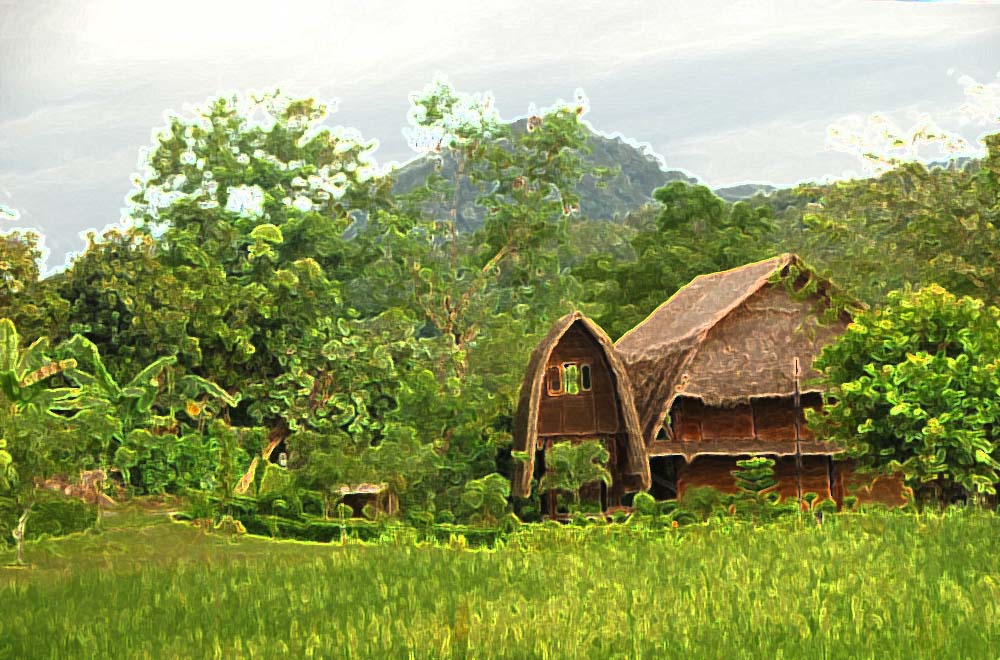 Nisura Olah foto digital Rumah  Kayu  dan Ladang Padi