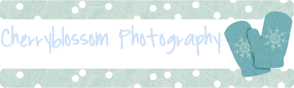 **Cherryblossom Photography**