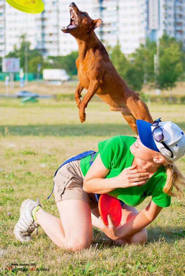 funny image collec