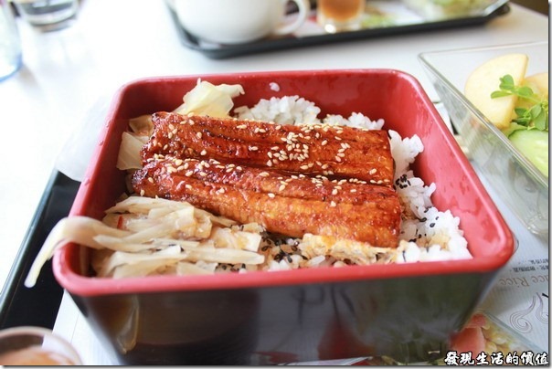 台南成大奇美咖啡。「鰻魚飯」套餐，鰻魚也不是現烤的，所以肉質稍微有點韌勁，不像一般剛烤好得鰻魚搬得鬆鬆軟軟。 