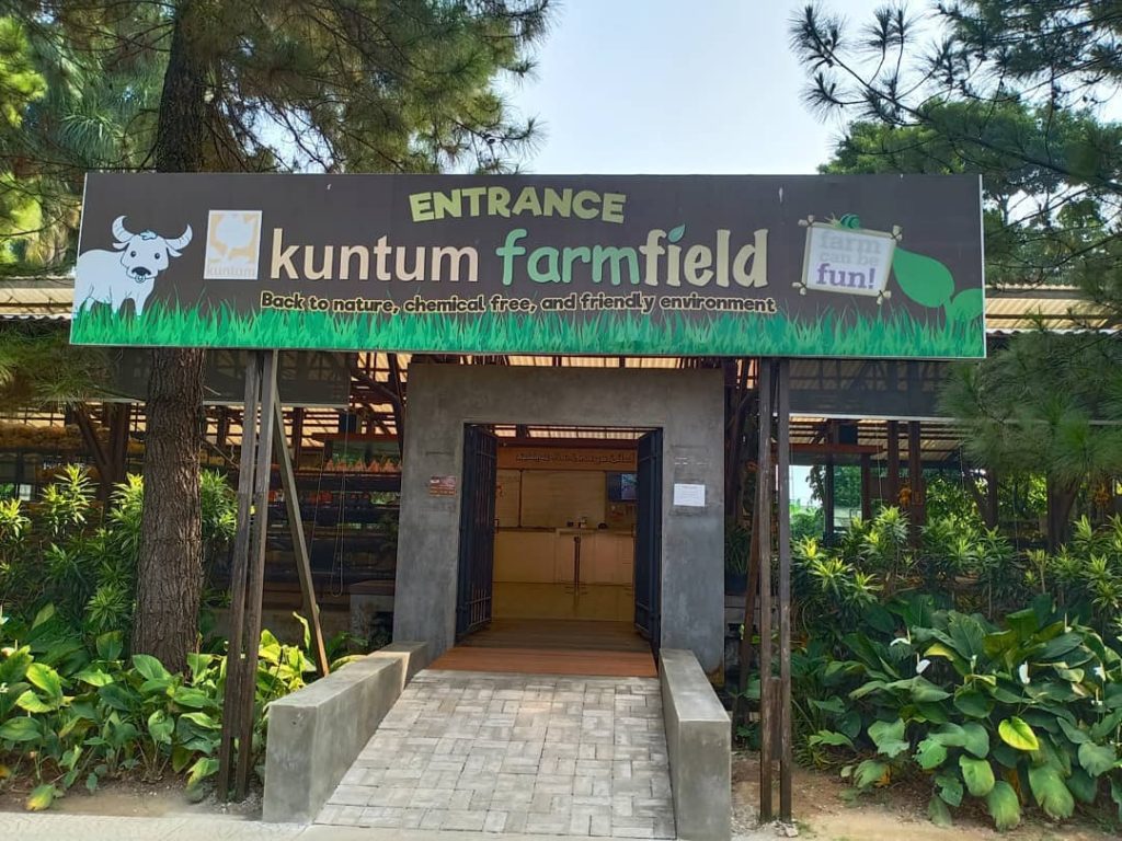 Kuntum Farm Field, Rekreasi Seru untuk Anak Millenial