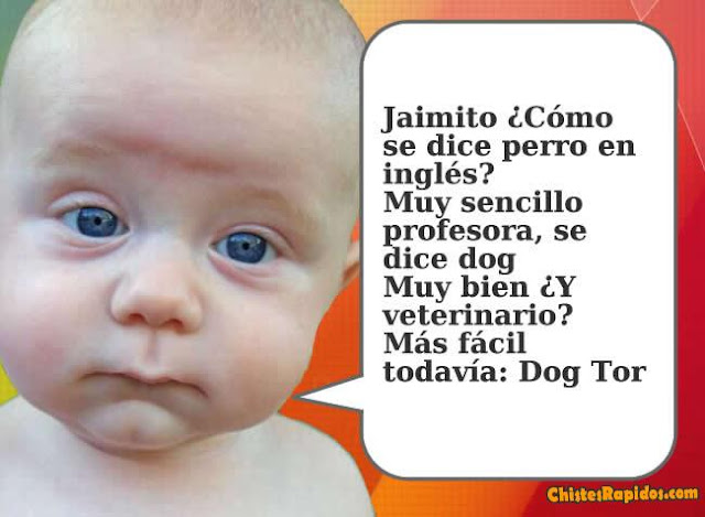 Chiste Como se dice Perro en Ingles