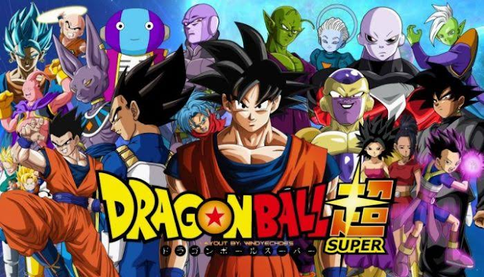 Dragon Ball Super Hindi Subbed ALL Episodes Free Download