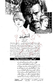 Free online reading Aatish e zan novel by Tanveer Riaz