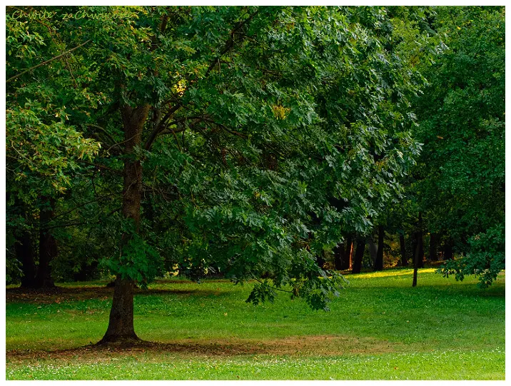 Park Szelągowski w Poznaniu