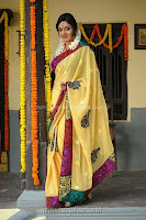 Vimala, raman, in, yellow, saree, stills