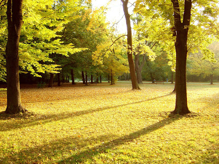 Gambar taman yang indah