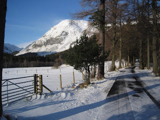 Glen Doll forest