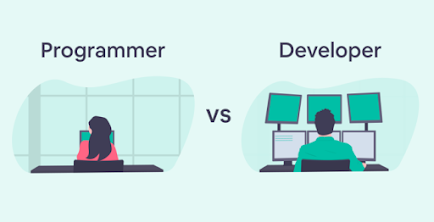 programmer vs developer