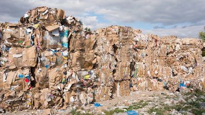 paper recycling factory