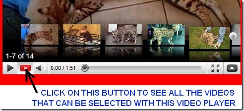 video player info image1