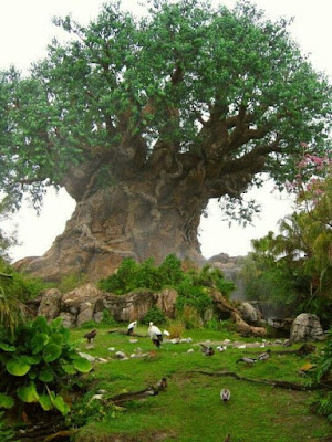 tree of life